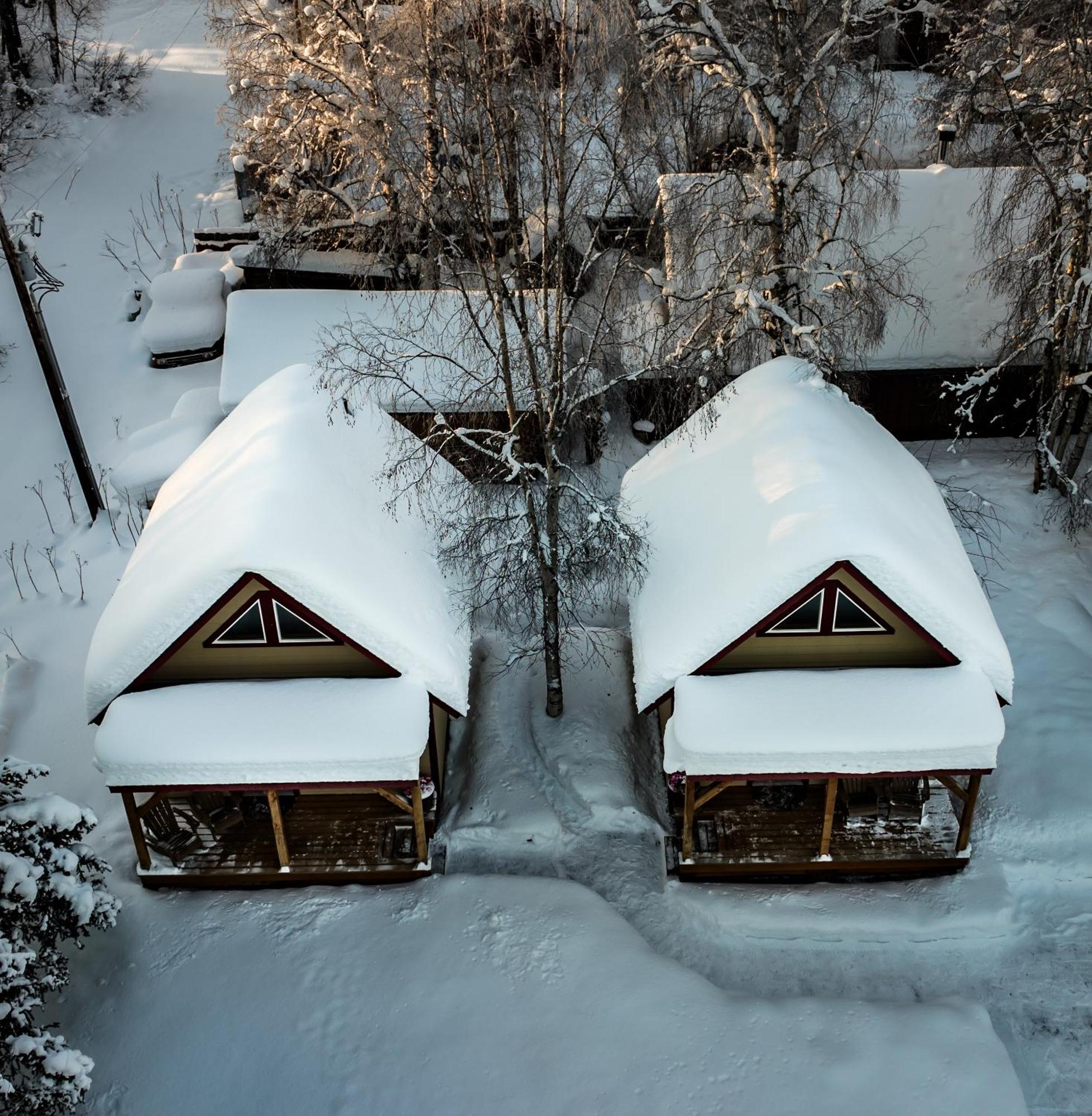 Downtown Talkeetna Cabin! Susitna Cabin מראה חיצוני תמונה